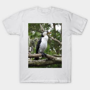 Little Pied Cormorant T-Shirt